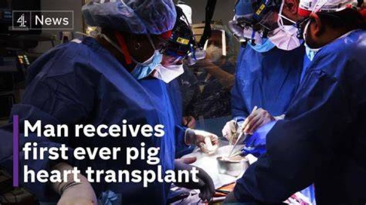 
Who Was David Bennett? Know About The Man Who Got Pig Heart Transplant 